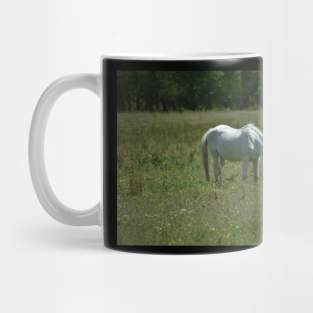 Wild Horse Mug